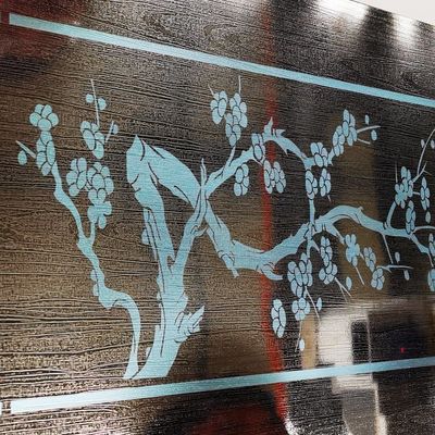 Macchina di incisione laser per la decorazione delle porte degli ascensori